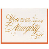 Naughty & Nice Foil Christmas Card