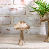 Champagne Forest Mushrooms