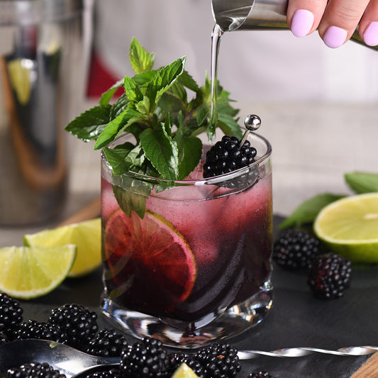 Blackberry Pomegranate Margarita Recipe