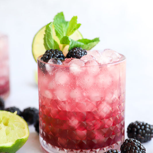 Blackberry Gin Rickey Cocktail Recipe