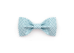 The Bradley Pet Bowtie