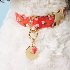 Strawberry Spring Pet Collar Charm