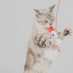 Goose Cat Teaser Toy