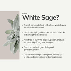 Large Organic White Sage Smudging Stick