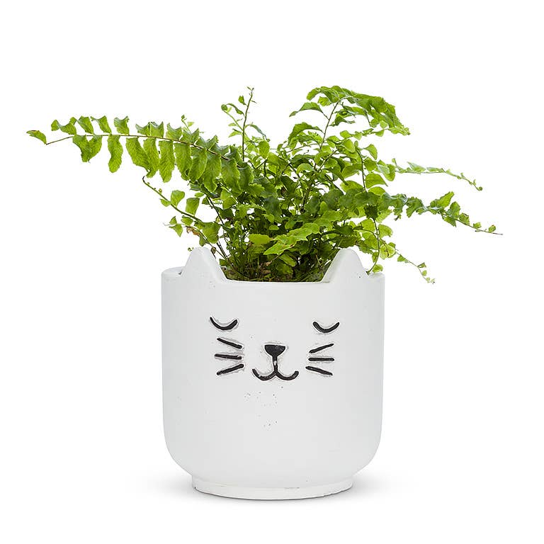 Sleeping Cat Planter