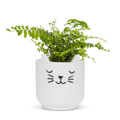 Sleeping Cat Planter