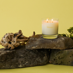 Dilo Hinoki Sesame Candle