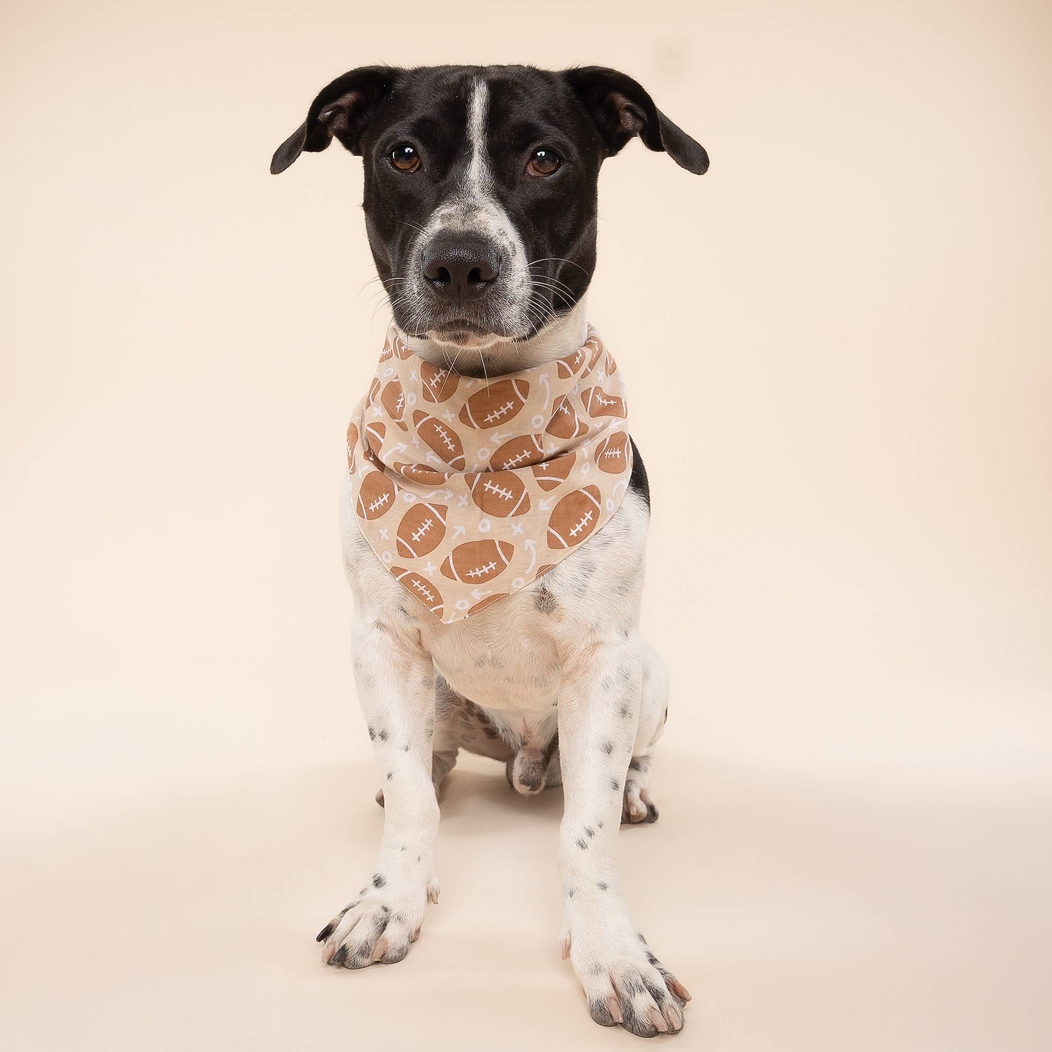 Blitz Football Dog Bandana 
