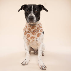 Blitz Football Dog Bandana 