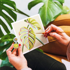 Monstera Leaves Mini Paint-by-Number Kit