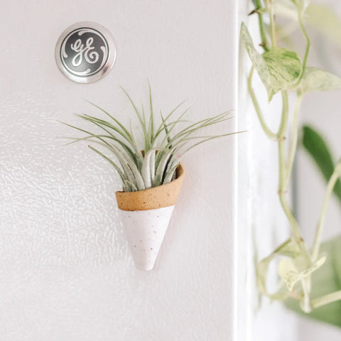 Magnetic Air Planter