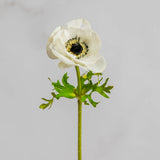 Real Touch White Anemone