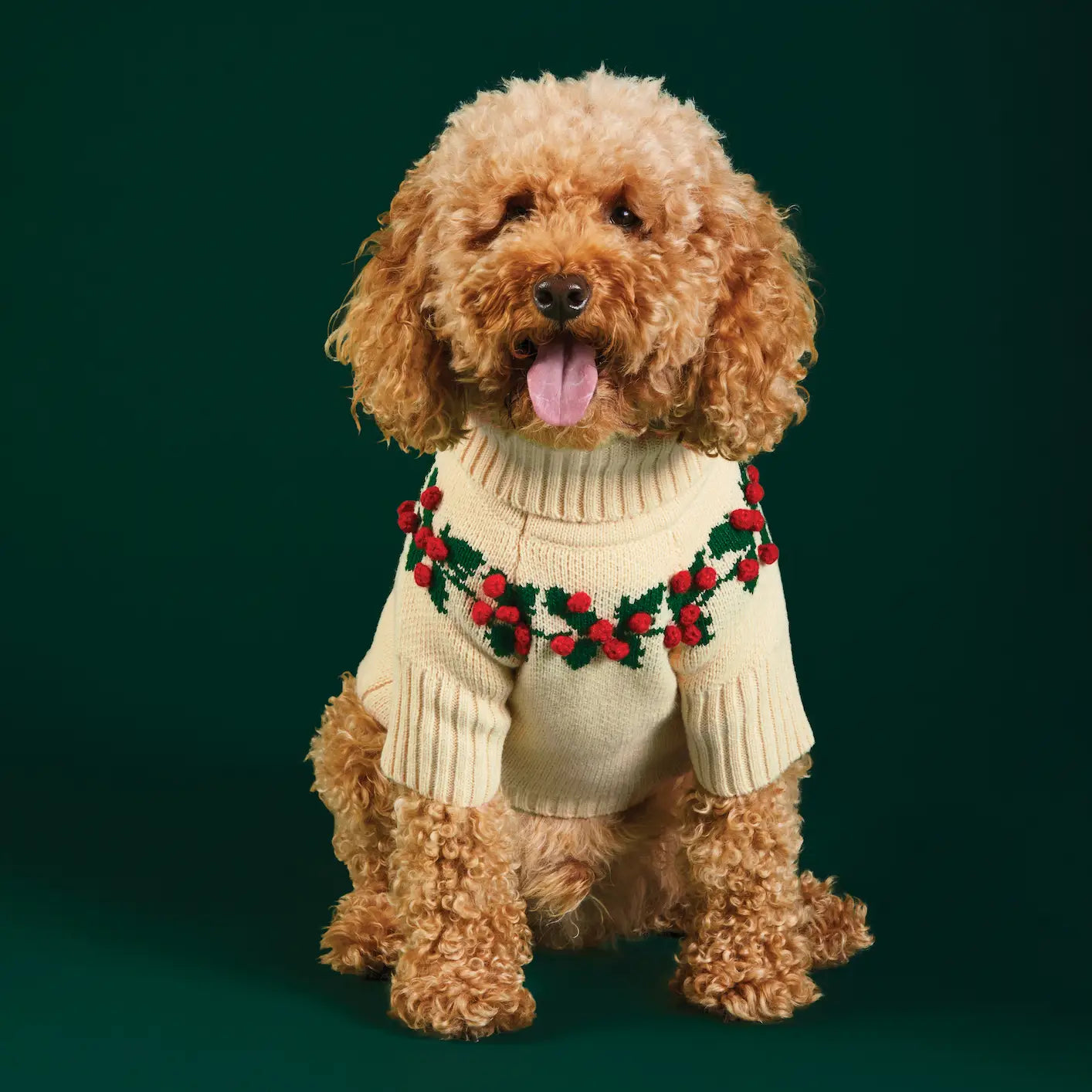 Holly Bobble Dog Sweater