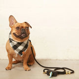 Black and White Check Flannel Dog Bandana