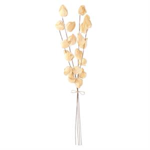 Cream Chinese Lantern Bundle (4 Stems)