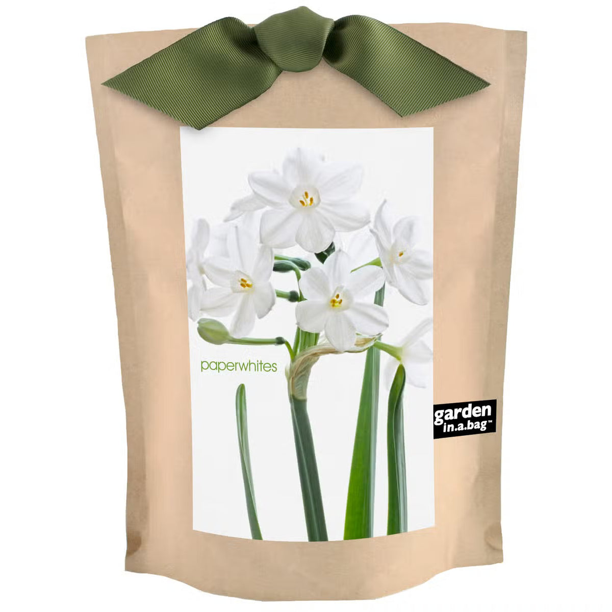 Paperwhites Garden In A Bag