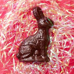 CoCo, The Crispy Almond Milk Chocolate Easter Bunny