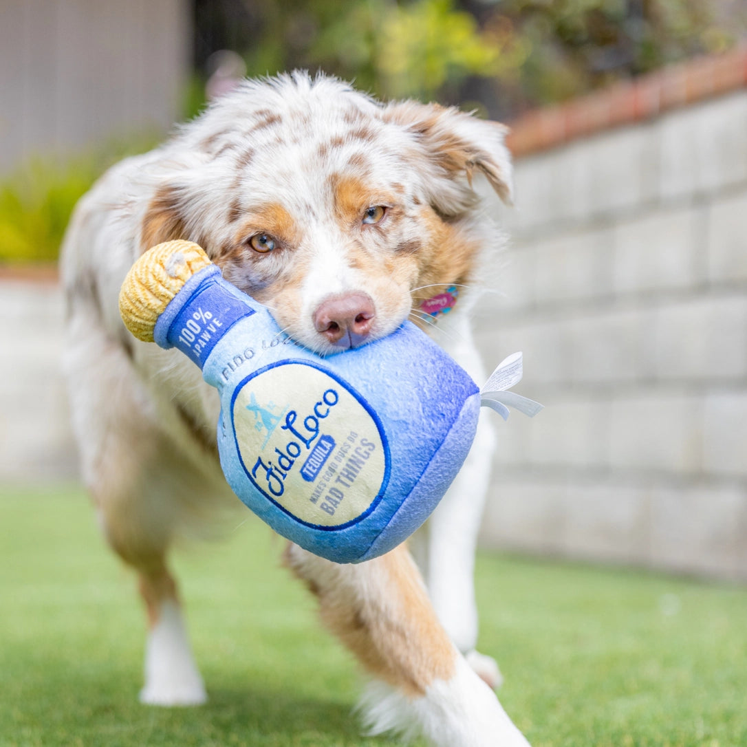 Fido Loco Tequila Dog Toy