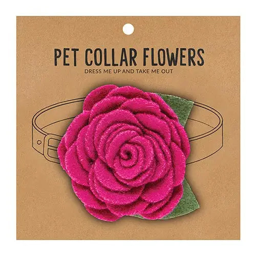 Pet Collar Flowers