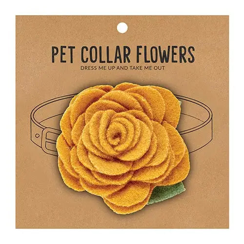 Pet Collar Flowers