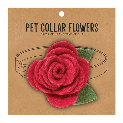 Pet Collar Flowers