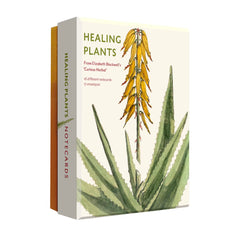 Healing Plants Notecards