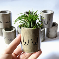 Itty Bitty Titty Mini Concrete Planter with Air Plant