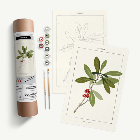 Mezereon Botanical Paint By Number Kit