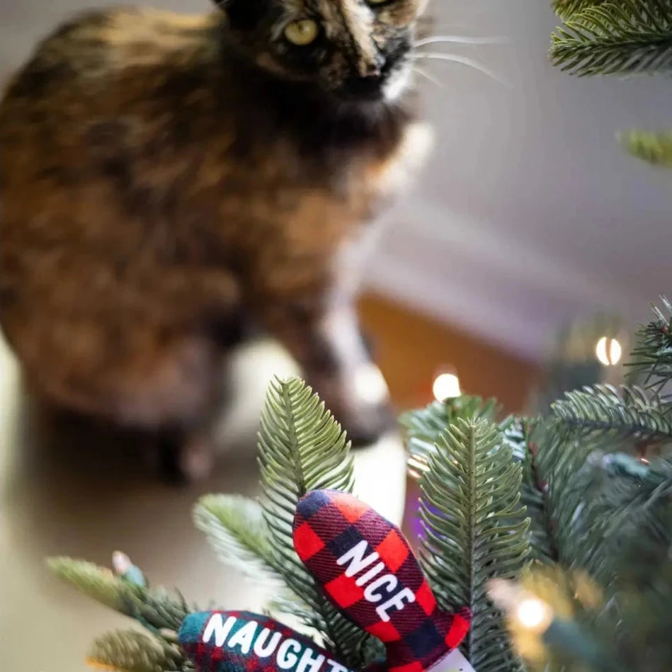 Christmas Naughty & Nice Cat Toys