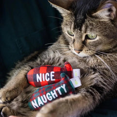 Christmas Naughty & Nice Cat Toys