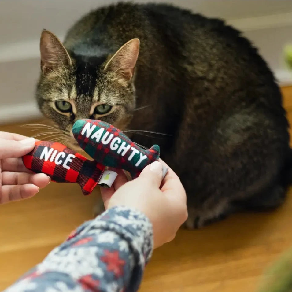 Christmas Naughty & Nice Cat Toys