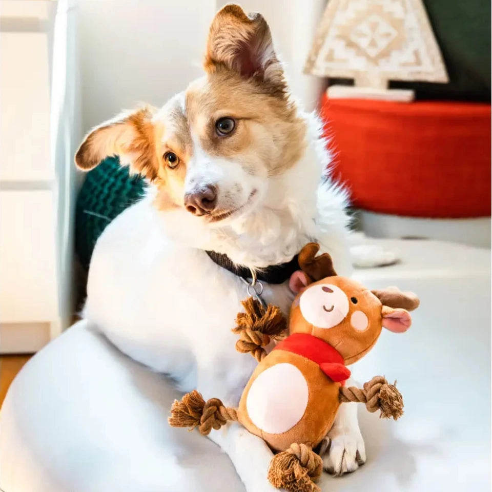 Reindeer Plush Rope Christmas Dog Toy