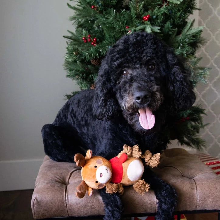 Reindeer Plush Rope Christmas Dog Toy