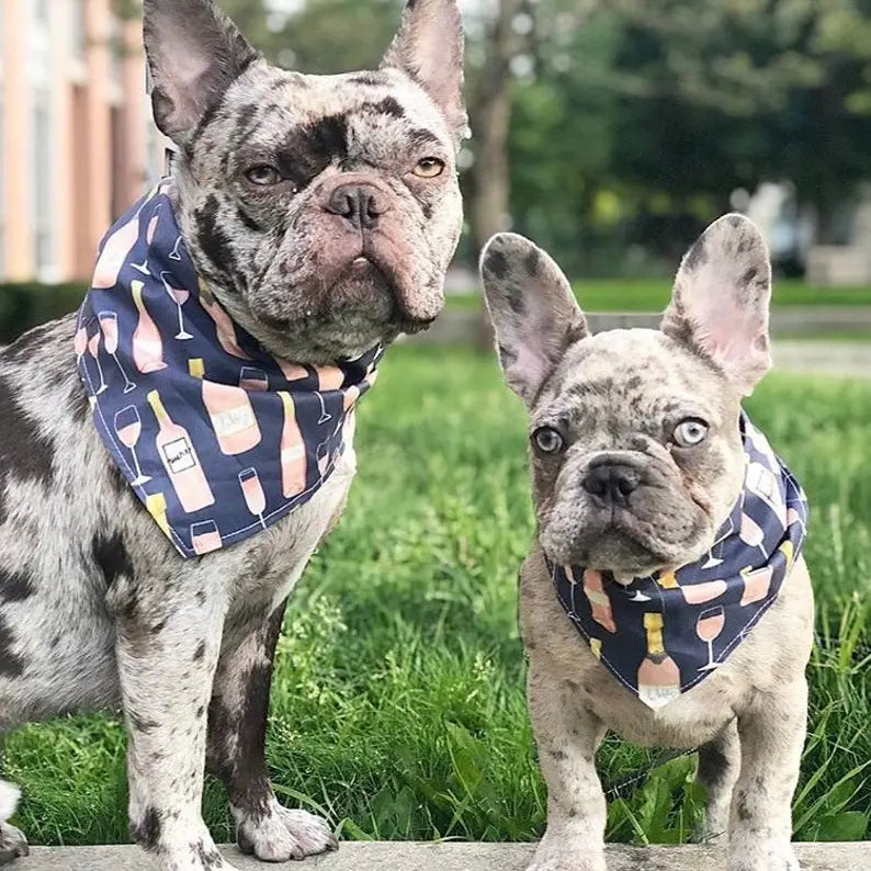 Rosé All Day Pet Bandana