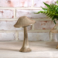 Champagne Forest Mushrooms
