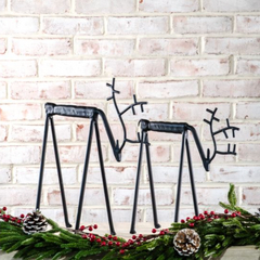 Grazing Lanky Reindeer