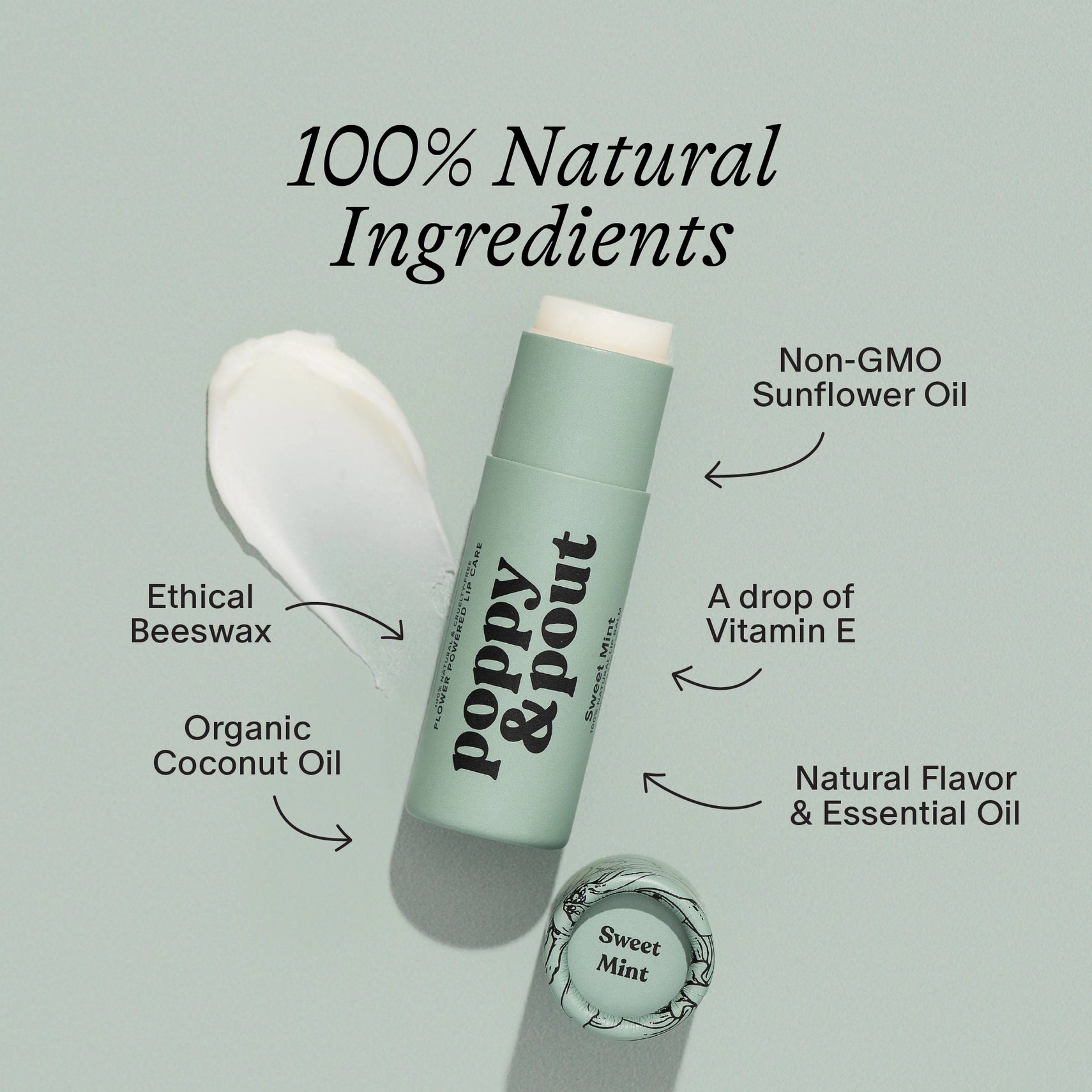 Sweet Mint Lip Care Duo