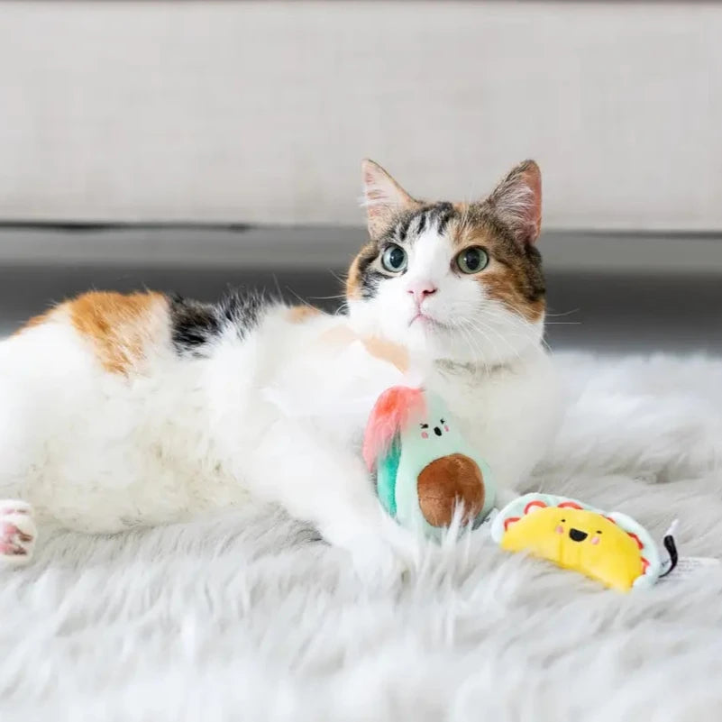 Taco Cat Toys