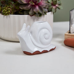 Whimsy Watering Snail