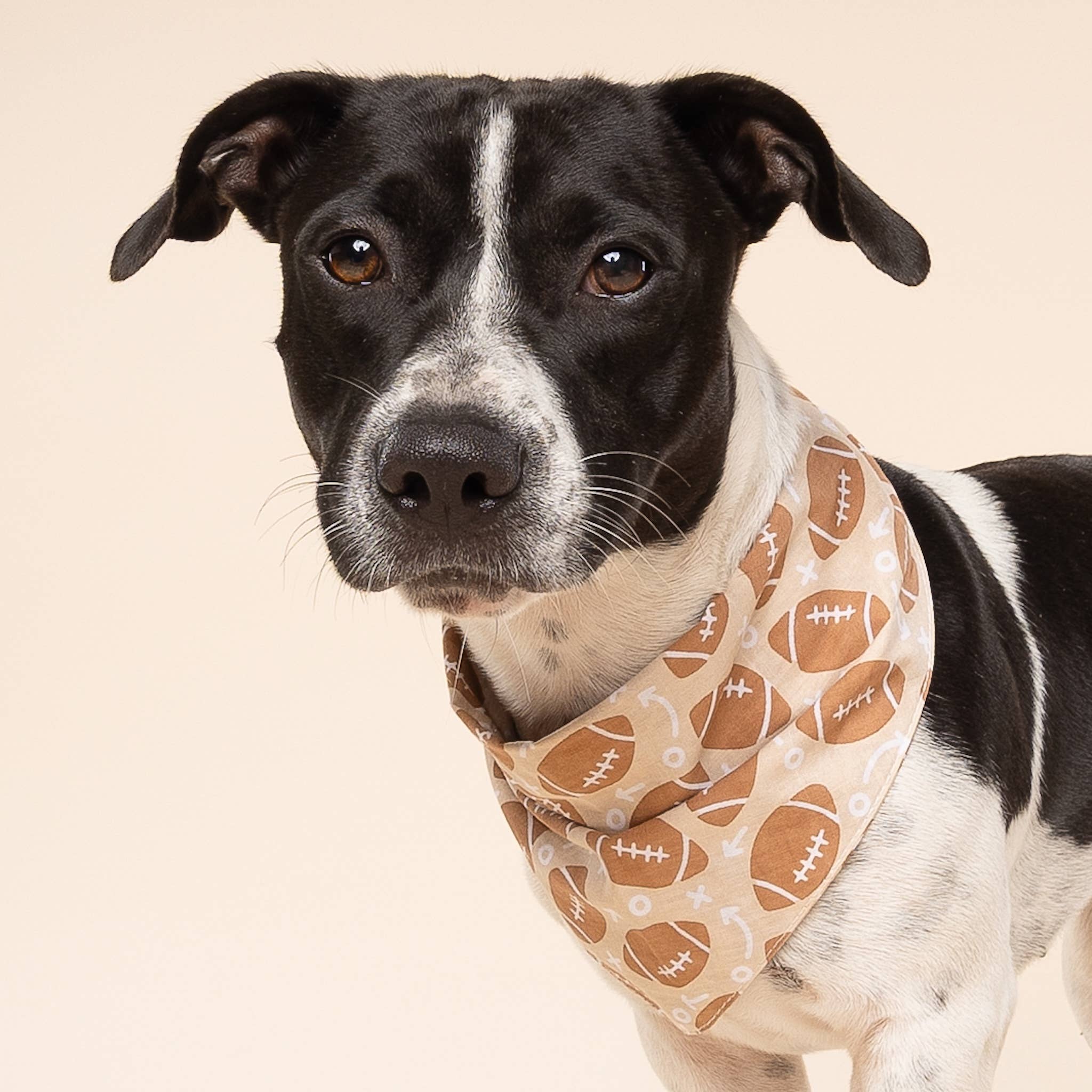 Blitz Football Dog Bandana 