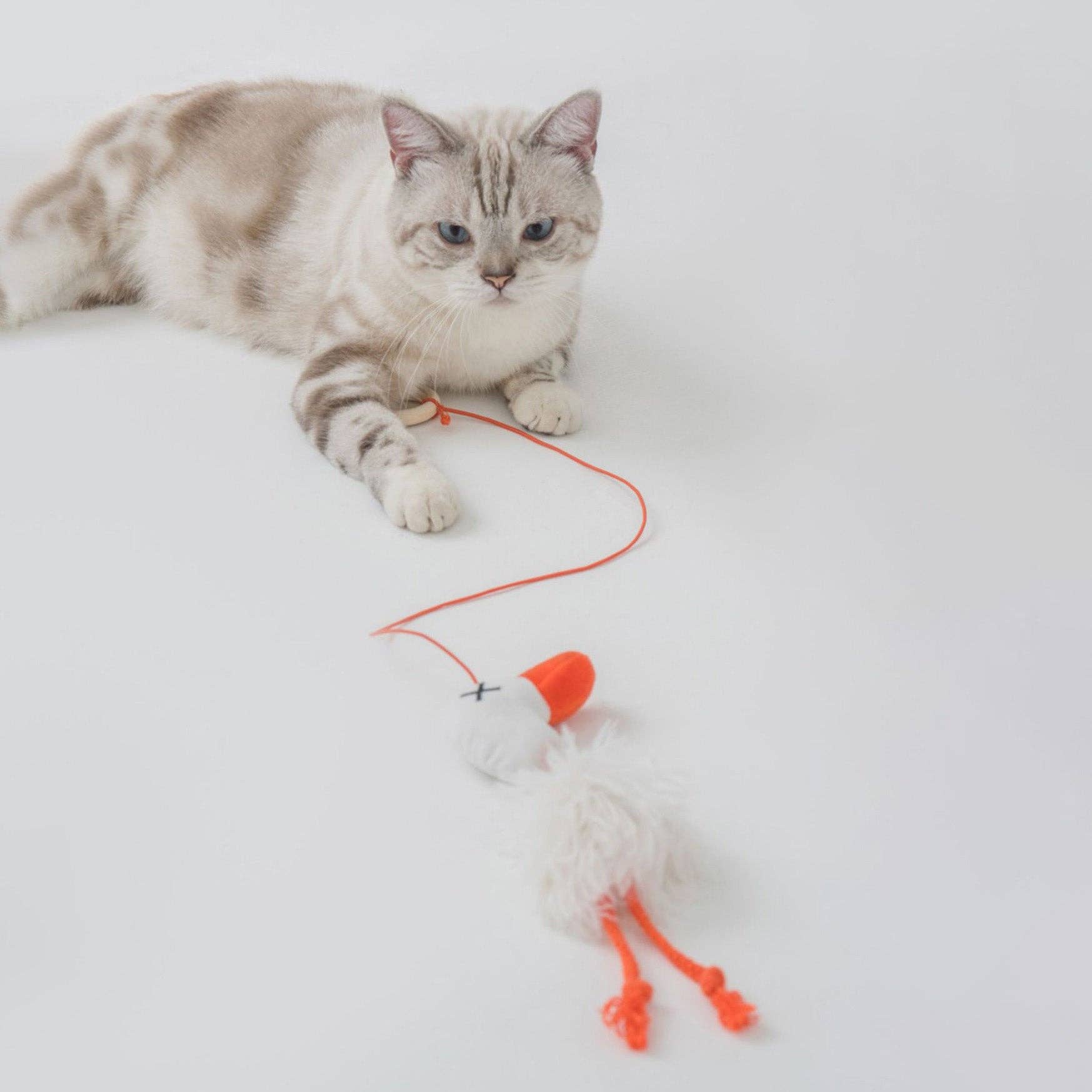 Goose Cat Teaser Toy