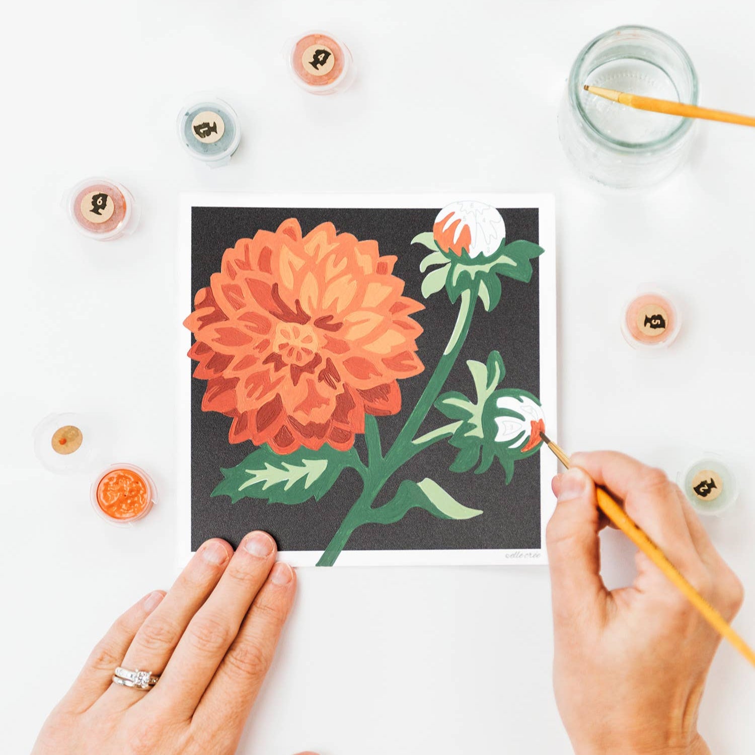 Dahlias Mini Paint-by-Number Kit