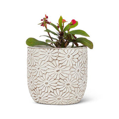 Daisy Day Textured Planter