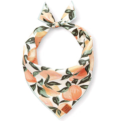 Peaches and Cream Dog Bandana