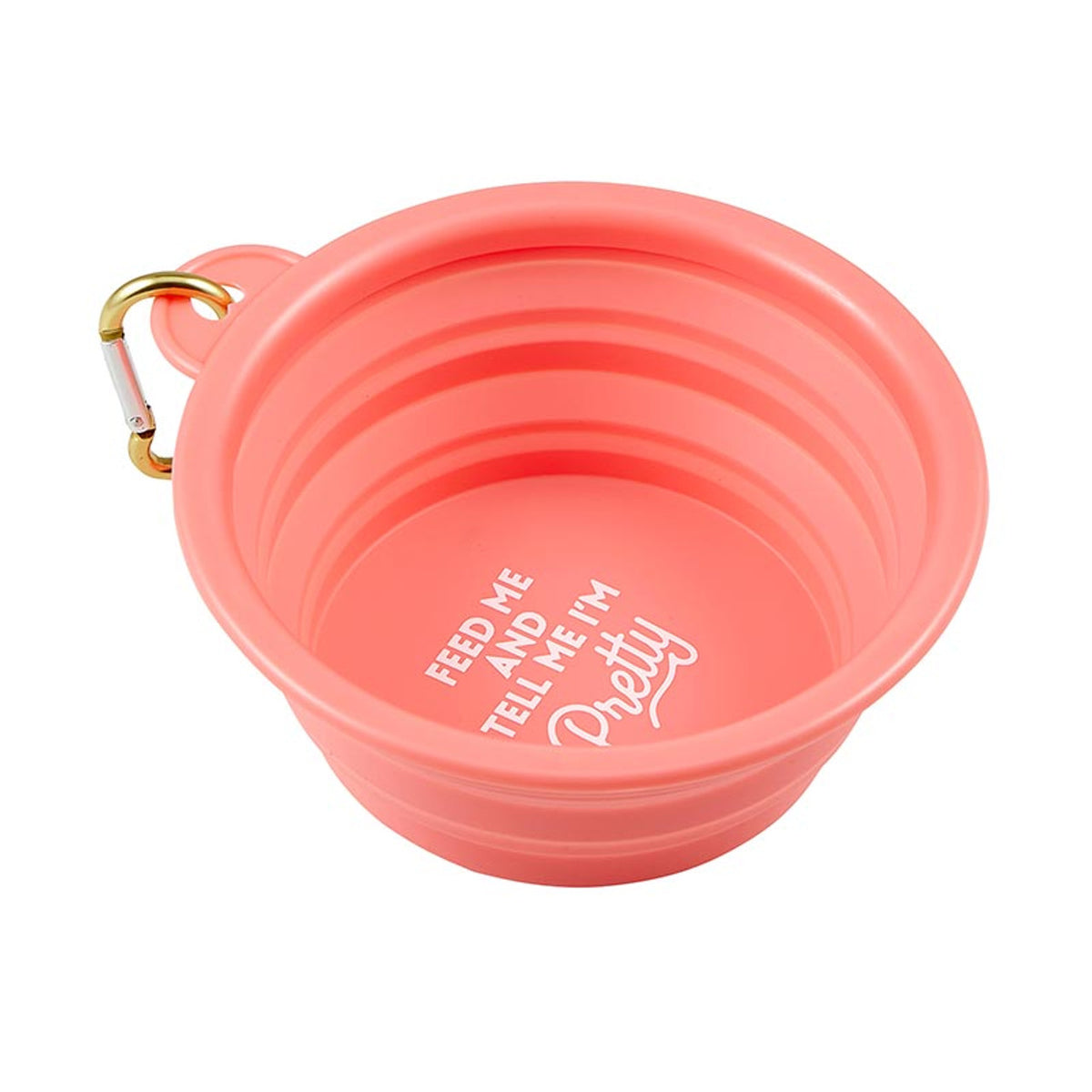 Collapsible Pet Bowl