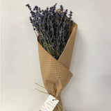 French Lavender Bundle