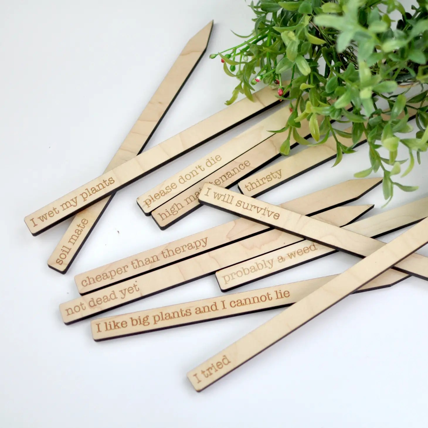 Punny Plant Markers
