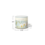 Fresh Sea Salt Vanity Tin Candle