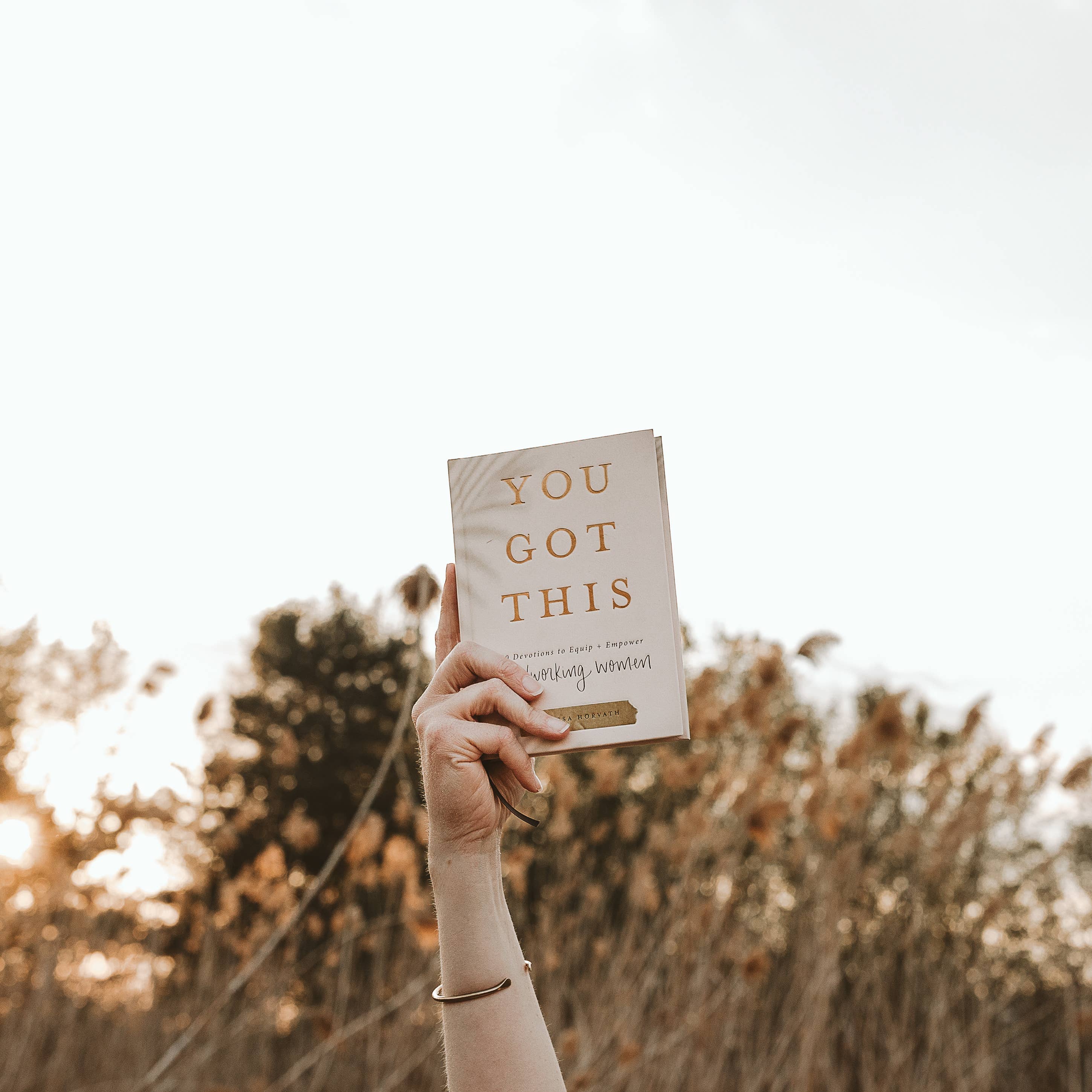 You Got This - 90 Devotions to Empower Hardworking Women